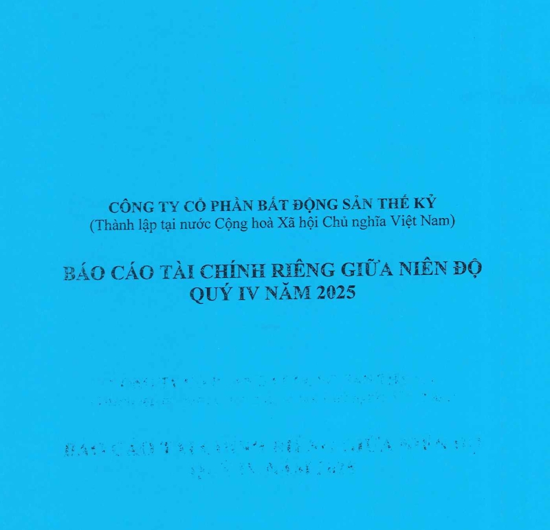 B&aacute;o c&aacute;o t&agrave;i ch&iacute;nh ri&ecirc;ng qu&yacute; 4 năm 2025
